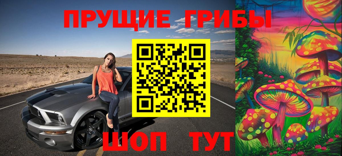 Псилоцибиновые грибы прущие грибы Похвистнево