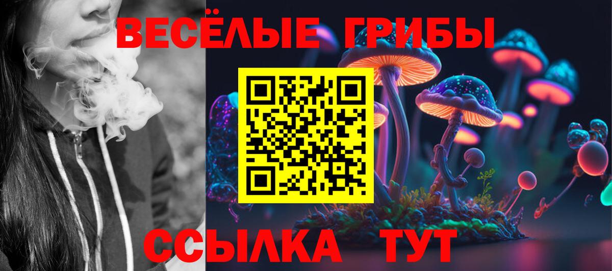 Галлюциногенные грибы Cubensis  Вход с VPN  Похвистнево 